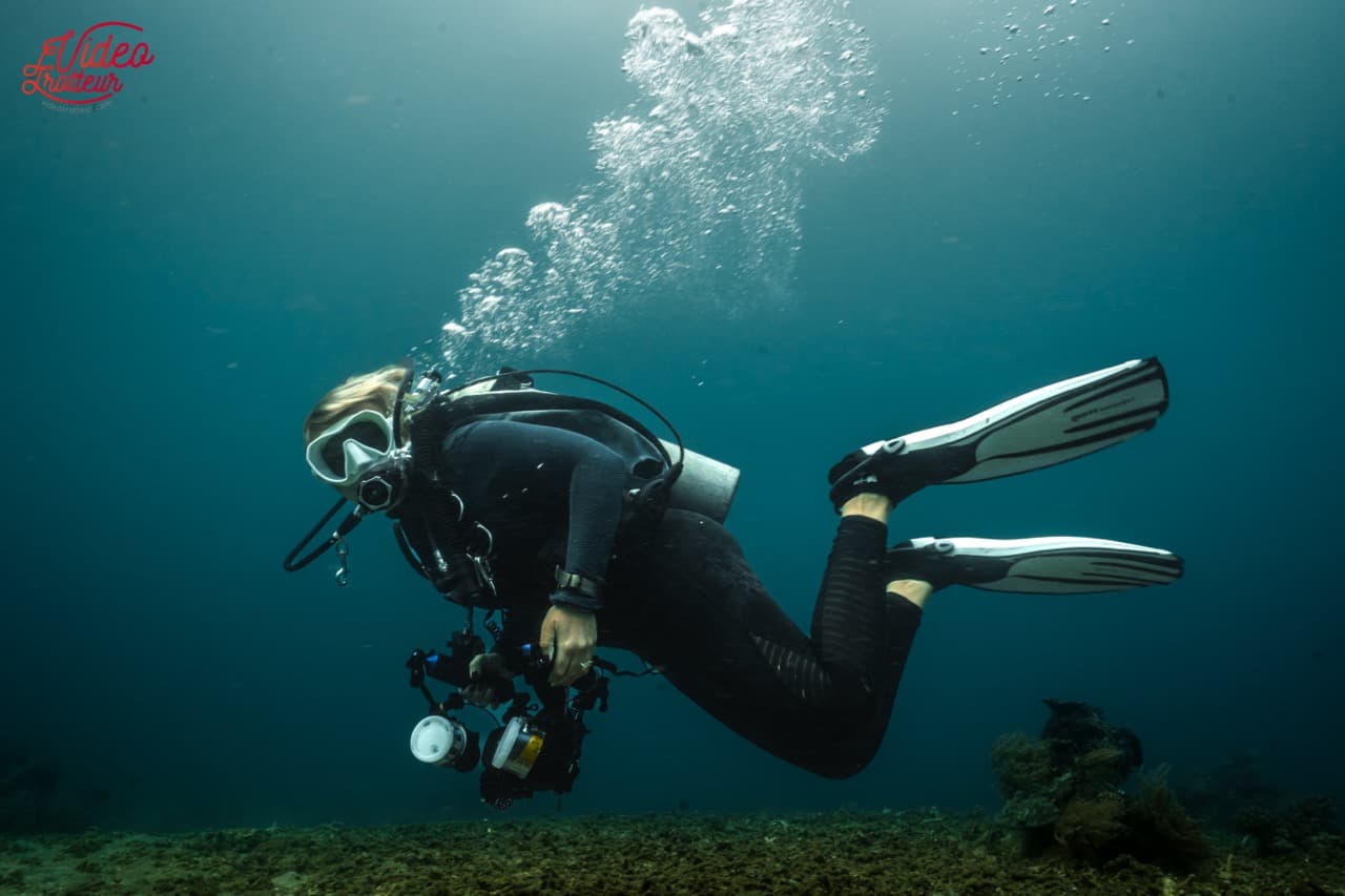 Muck Diving