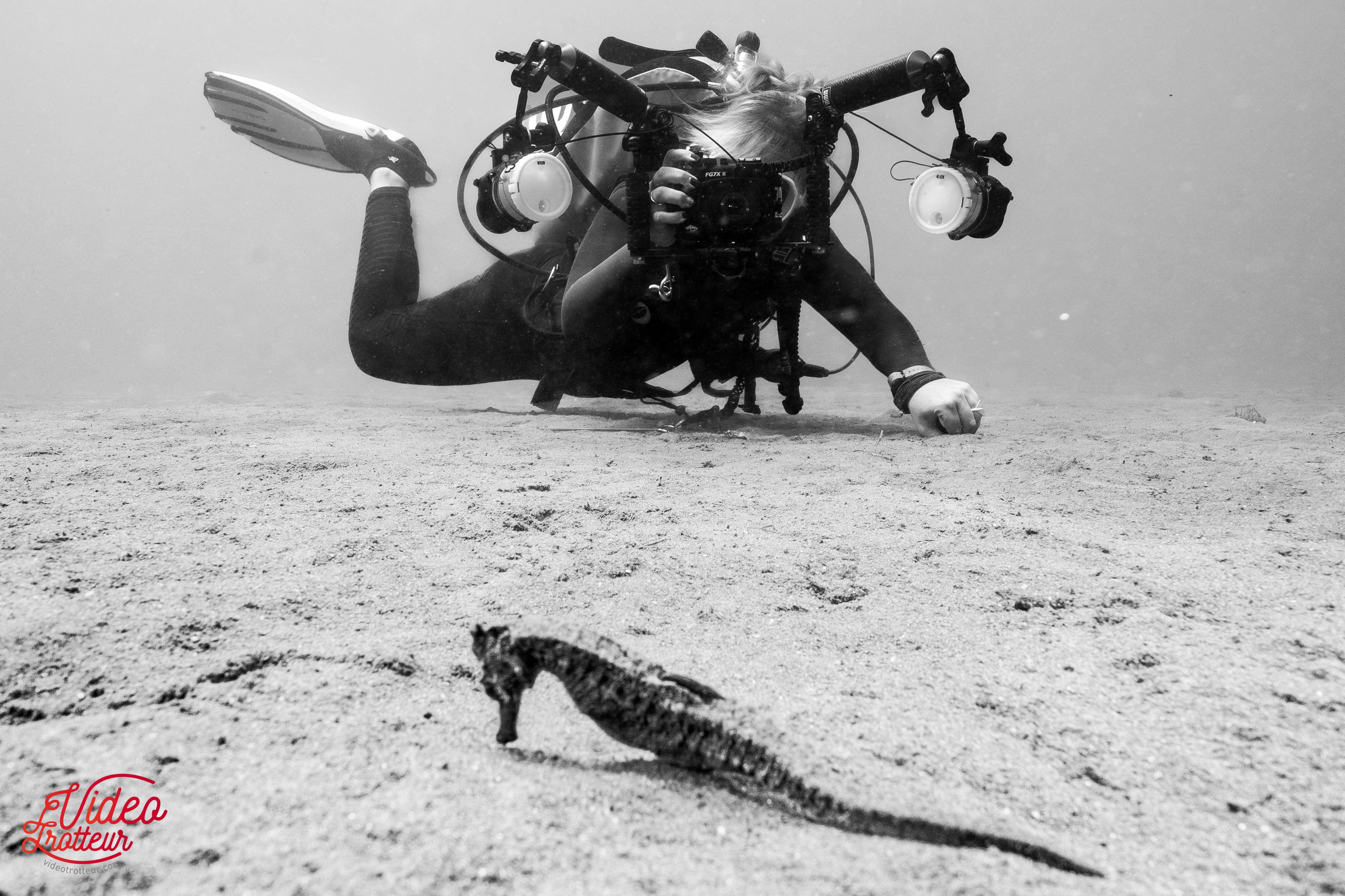 Amed underwater beauty