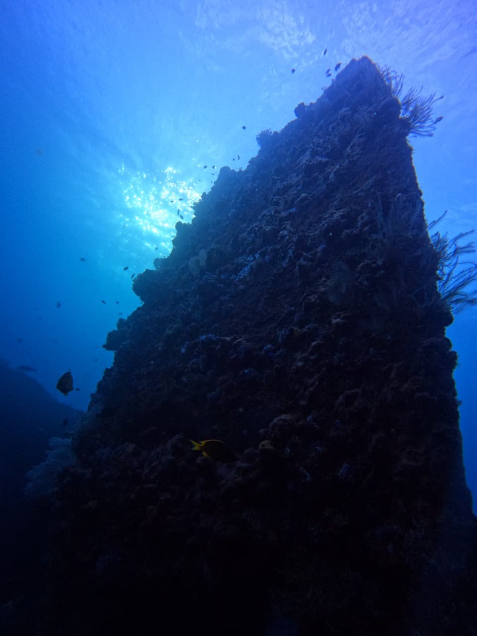USAT Liberty wreck
