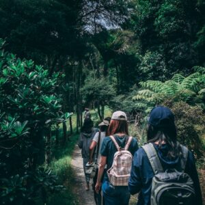 People Wearing Backpacks Walking on Pathway Near Green Leaf Plants