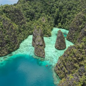 an aerial view of a lagoon surrounded by trees