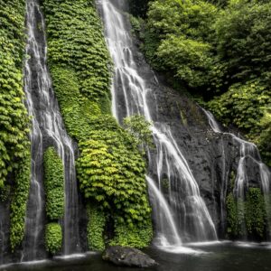 a waterfall is covered in green plants and water