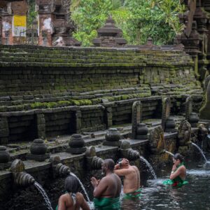 a group of people swimming in a body of water