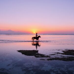 person riding horse on shore